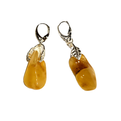 Amber earrings 1209310