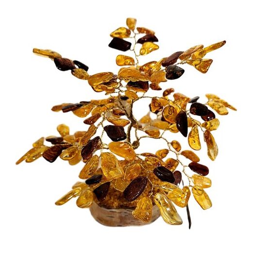 Денежно-янтарное дерево 671101