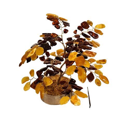 Денежно-янтарное дерево 671104