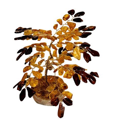 Денежно-янтарное дерево 671106