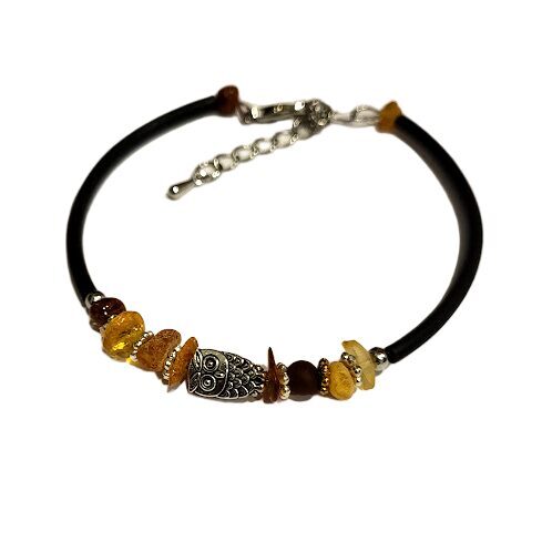 Aproce ar dzintaru Pūcīte 1205002