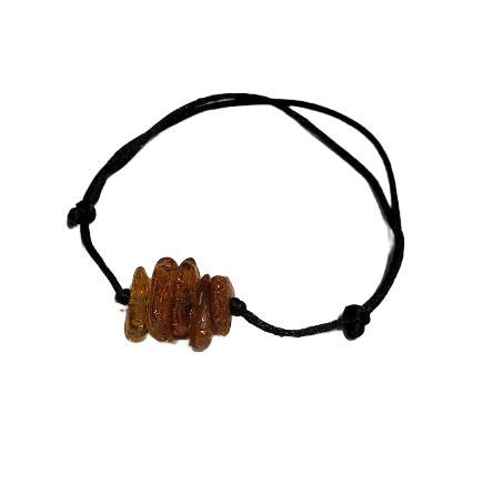 Dzintars diedziņā 12010501