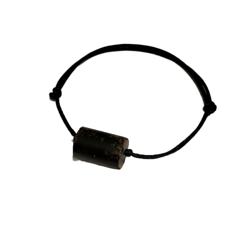 Dzintars diedziņā 12010601