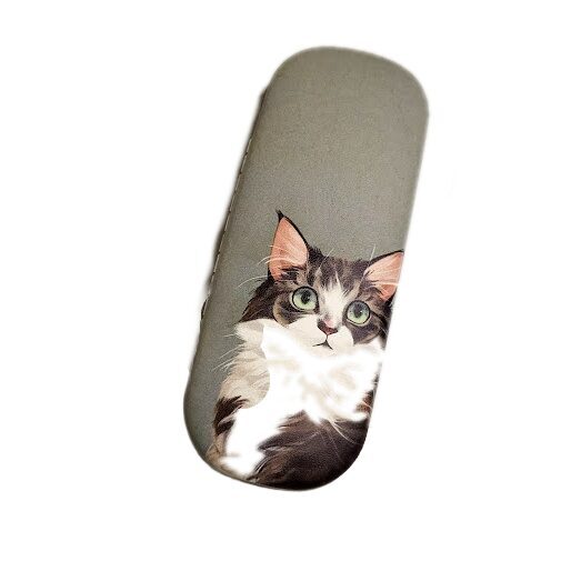 Glasses case 0517302