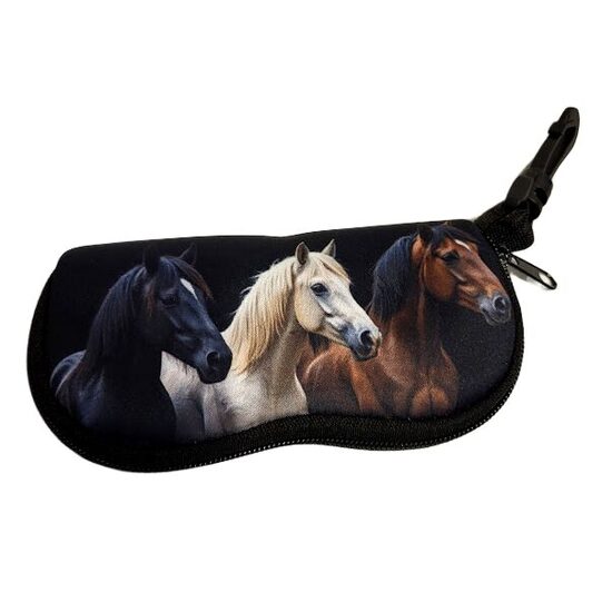 Glasses case 051730
