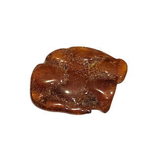 Янтарь, шт. 1204702