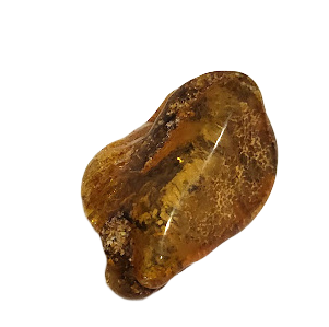 Янтарь, шт. 1204708