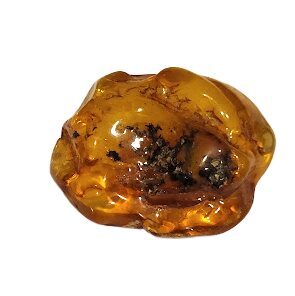 Янтарь, шт. 1204709