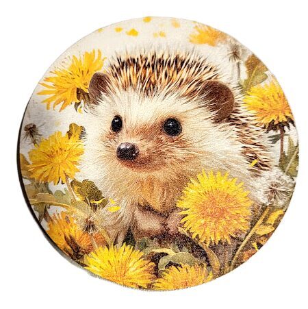 Finiera paliktnis Ezītis 0519502