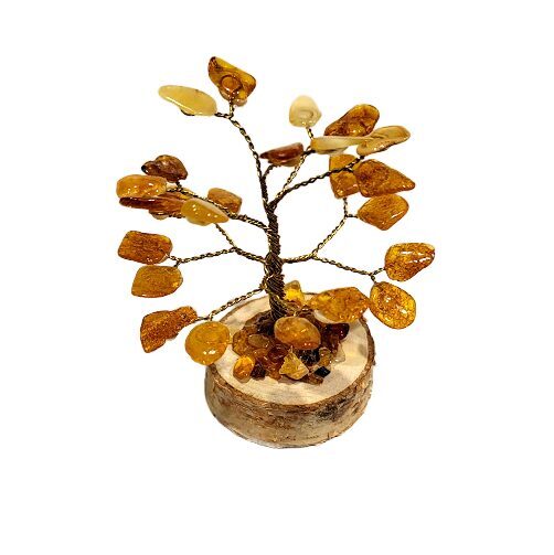 Денежно-янтарное дерево 673302