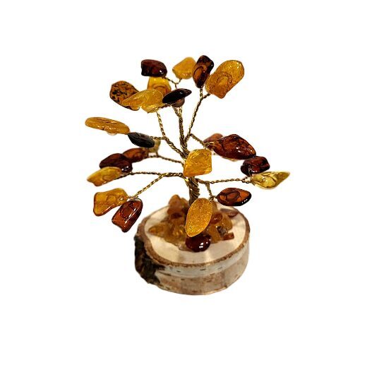 Денежно-янтарное дерево 673303