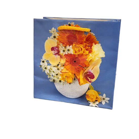 Dāvanu maisiņš  15x15,5x7,5 cm