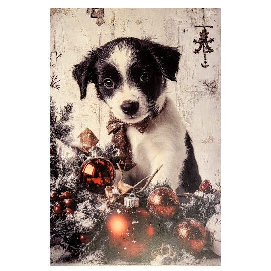 Apsveikumu kartiņa 0519702