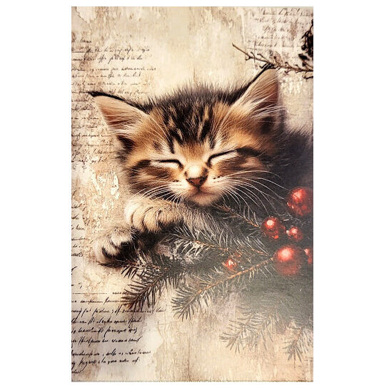 Apsveikumu kartiņa 0519703