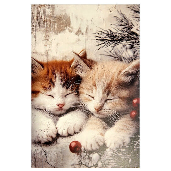 Apsveikumu kartiņa 0519706