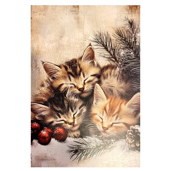 Apsveikumu kartiņa 0519718