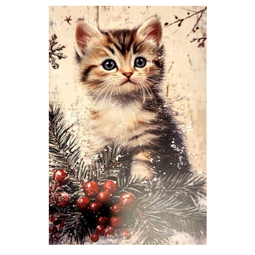 Apsveikumu kartiņa 0519720