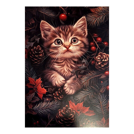 Apsveikumu kartiņa 0519721