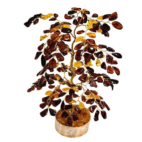 Денежно-янтарное дерево 675301