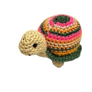 Bruņurupucis 550304