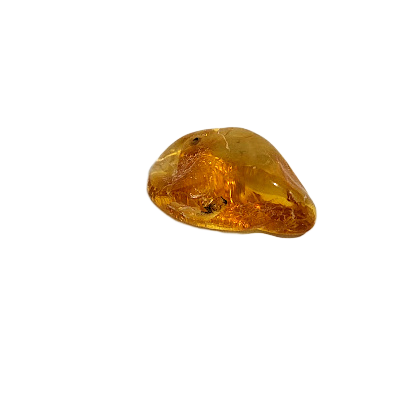 Natural Baltic amber piece (1.5–2 g) 1212802 