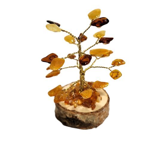 Dzintara laimes un naudas koks (9 cm) 6733005 