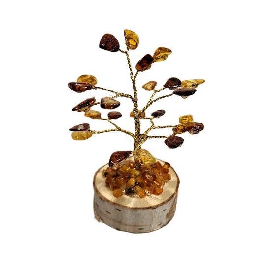 Dzintara laimes un naudas koks (9 cm) 673306 