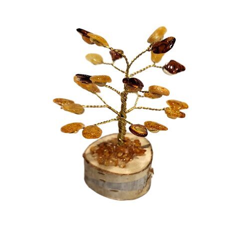 Dzintara laimes un naudas koks (9 cm) 673309 