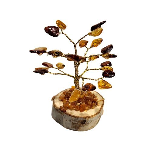 Dzintara laimes un naudas koks (9 cm) 6733001 