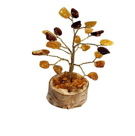 Dzintara laimes un naudas koks (9 cm) 673310 