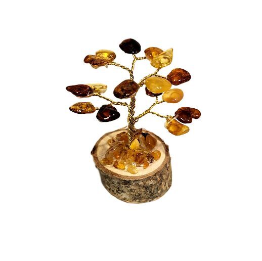 Денежно-янтарное дерево 673204