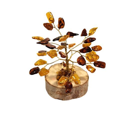 Dzintara koks 673408