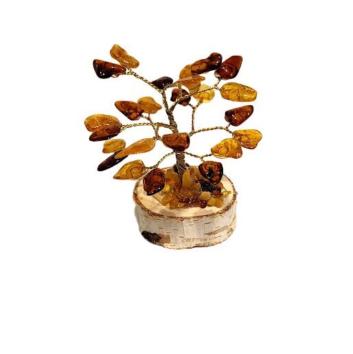 Денежно-янтарное дерево 673310