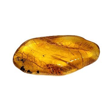 Эксклюзивный кусочек натурального балтийского янтаря в подарочной коробке (5–6 г) 1213204 