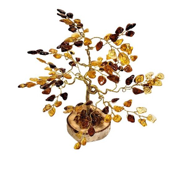 Naudas-dzintara koks 674504