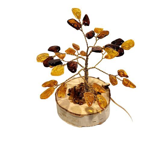 Dzintara koks 673409