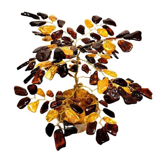 Денежно-янтарное дерево 671110