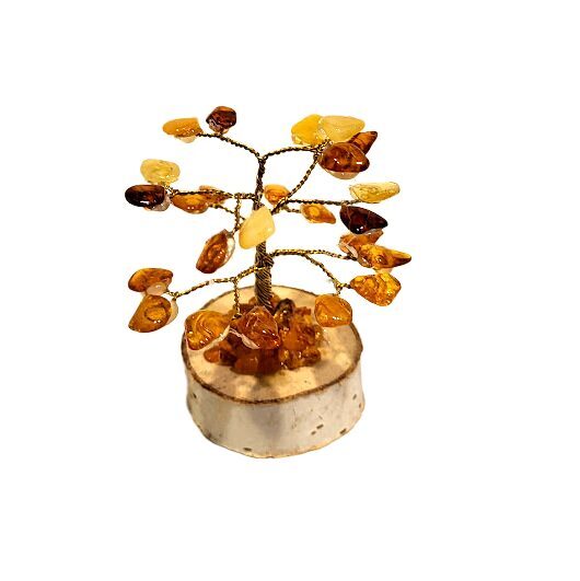 Dzintara laimes un naudas koks (9 cm) 6733004 