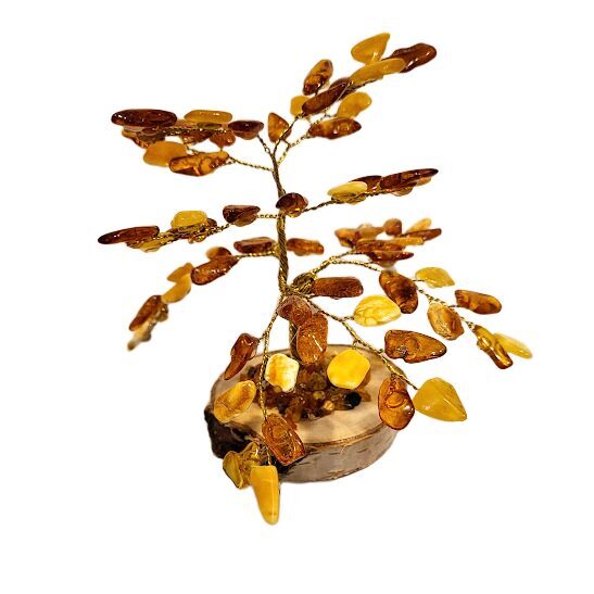 Денежно-янтарное дерево 673704