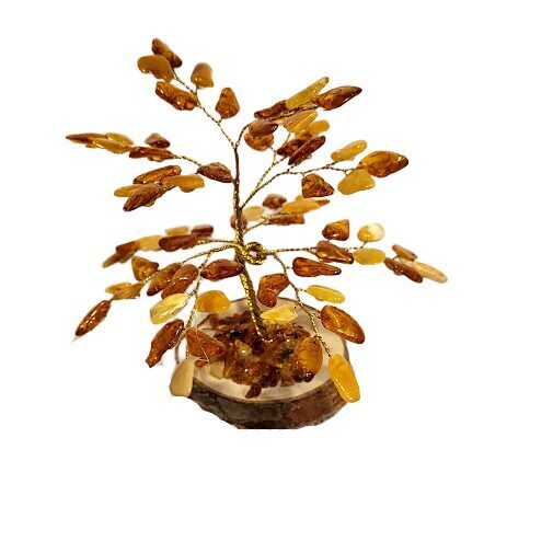 Денежно-янтарное дерево 673705