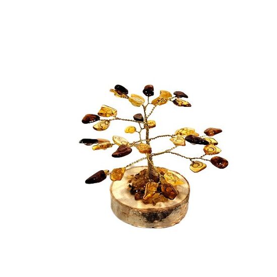 Dzintara koks 673410