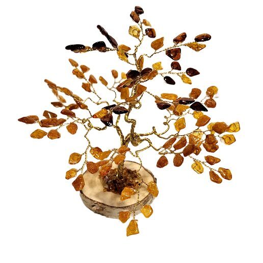 Naudas-dzintara koks 674505