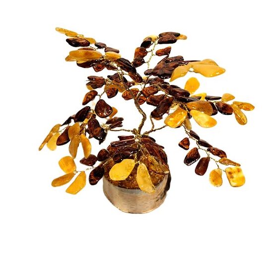 Денежно-янтарное дерево 671111