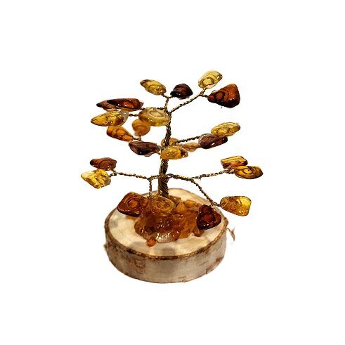 Dzintara laimes un naudas koks (9 cm) 6733005 