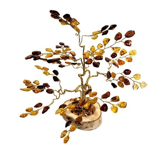 Naudas-dzintara koks 674506