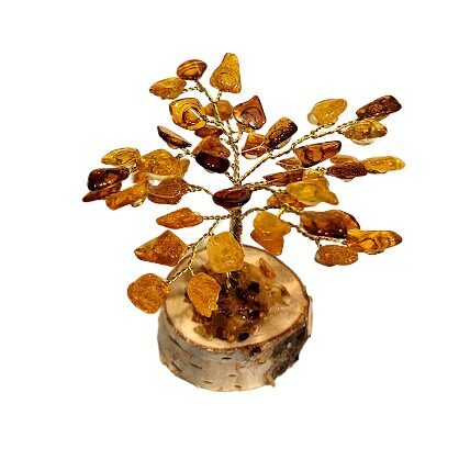 Денежно-янтарное дерево 673406