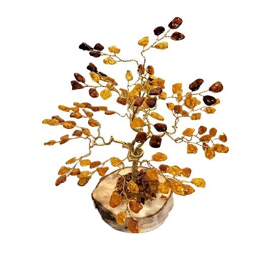 Naudas-dzintara koks 674507