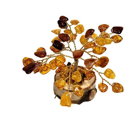 Денежно-янтарное дерево 673407
