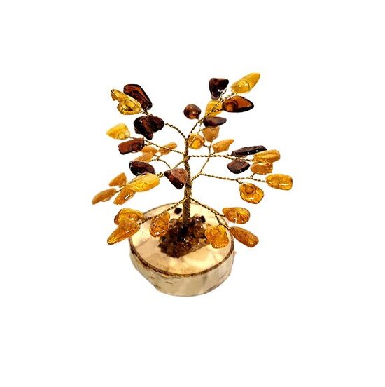 Dzintara koks 673412