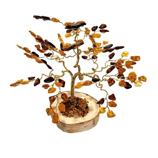 Naudas-dzintara koks 674508